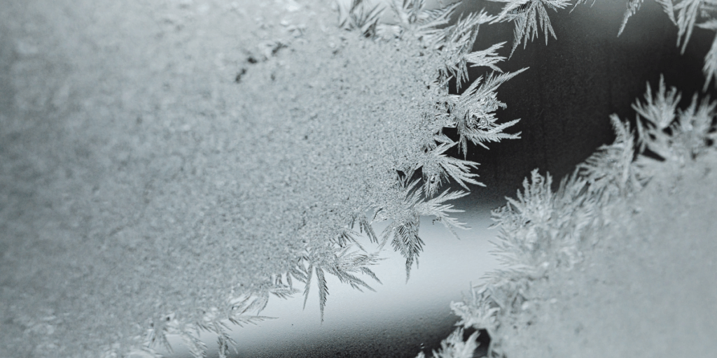 winter-guide-to-marylands-eastern-shore
