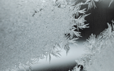 Winter Guide to Maryland’s Eastern Shore: Events, Cozy Finds & Local Charm