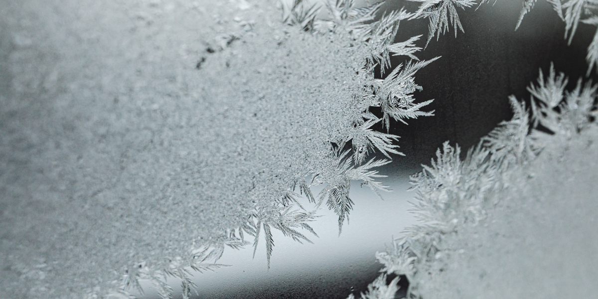 Winter Guide to Maryland’s Eastern Shore: Events, Cozy Finds & Local Charm