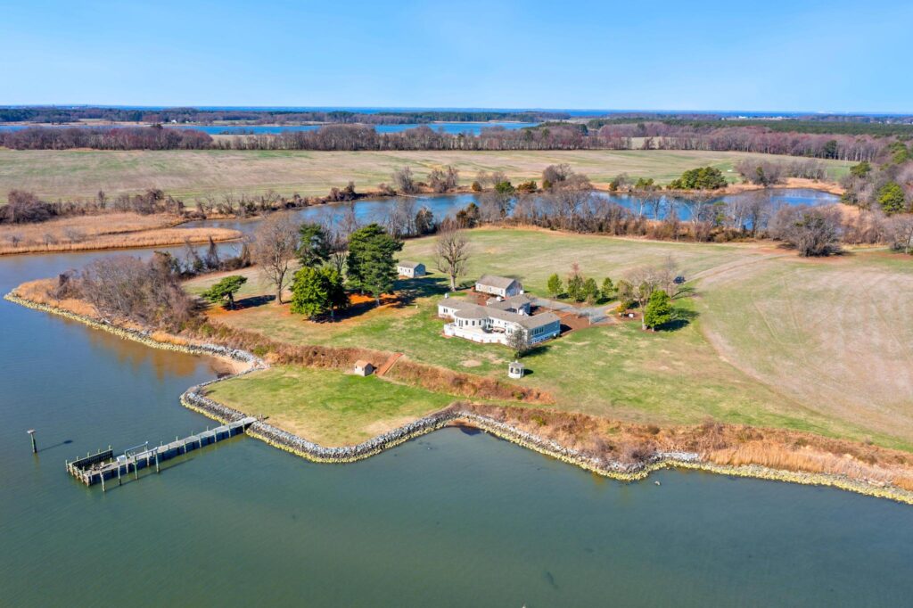 4511PineyNeck-56