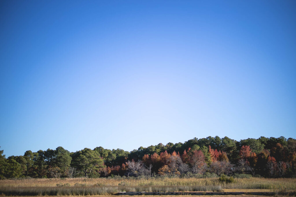 Fall scenery on the eastern shore of Maryland