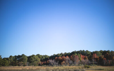 My Eastern Shore Fall Bucket List