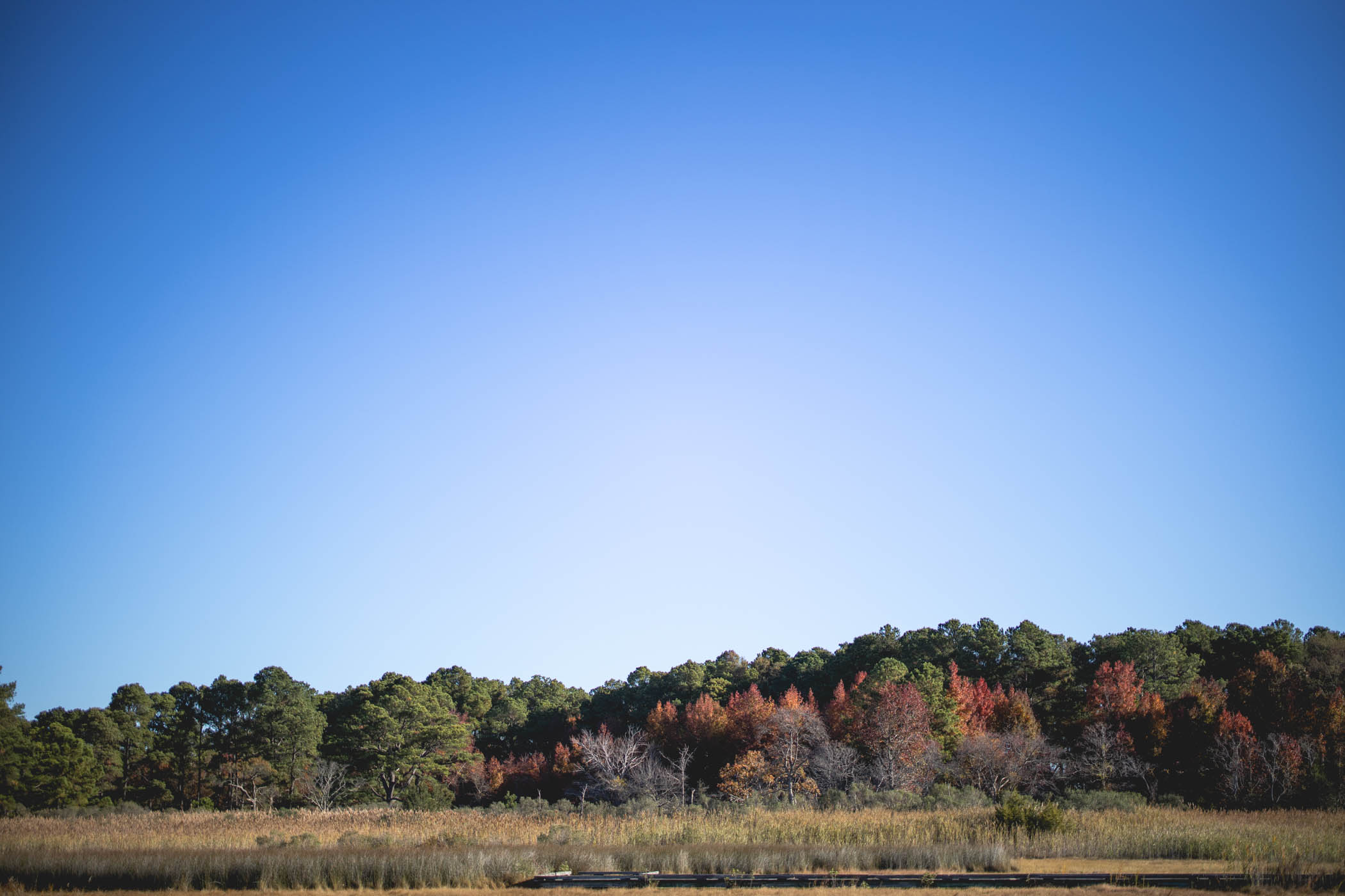 Fall scenery on the eastern shore of Maryland